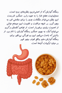 معرفی و بررسی خواص کشمش و گردو - حاجیل