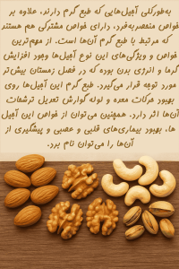 معرفی آجیل های با طبع گرم و خواص آن ها - جاجیل